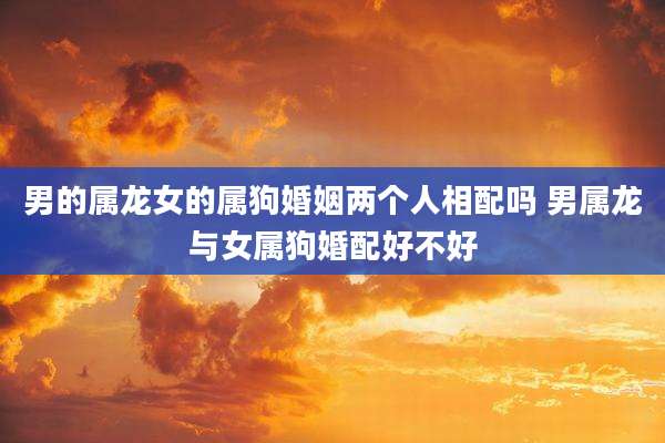 男的属龙女的属狗婚姻两个人相配吗 男属龙与女属狗婚配好不好