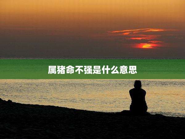 属猪命不强是什么意思