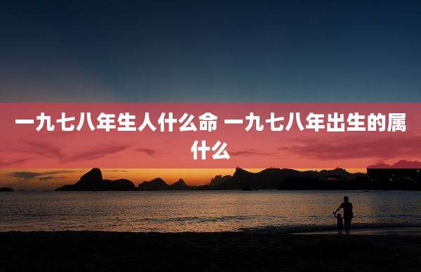 一九七八年生人什么命 一九七八年出生的属什么