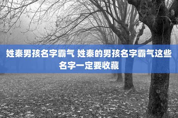 姓秦男孩名字霸气 姓秦的男孩名字霸气这些名字一定要收藏
