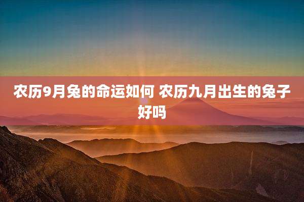 农历9月兔的命运如何 农历九月出生的兔子好吗