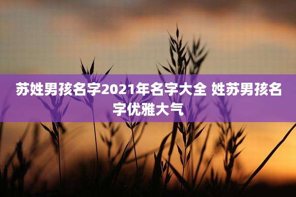 苏姓男孩名字2021年名字大全 姓苏男孩名字优雅大气