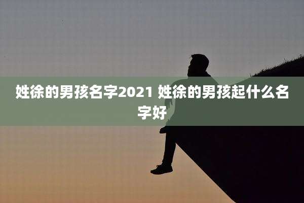 姓徐的男孩名字2021 姓徐的男孩起什么名字好