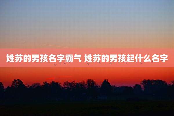 姓苏的男孩名字霸气 姓苏的男孩起什么名字