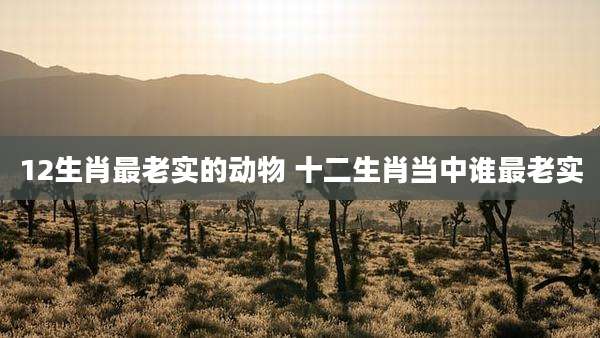 12生肖最老实的动物 十二生肖当中谁最老实