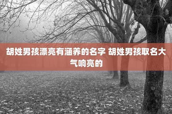 胡姓男孩漂亮有涵养的名字 胡姓男孩取名大气响亮的