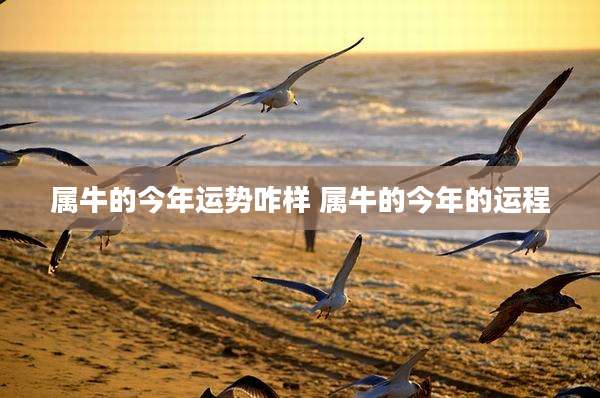 属牛的今年运势咋样 属牛的今年的运程