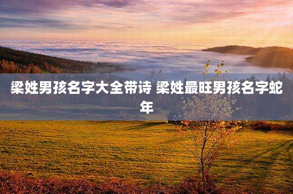 梁姓男孩名字大全带诗 梁姓最旺男孩名字蛇年