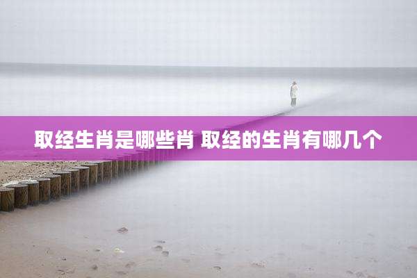 取经生肖是哪些肖 取经的生肖有哪几个