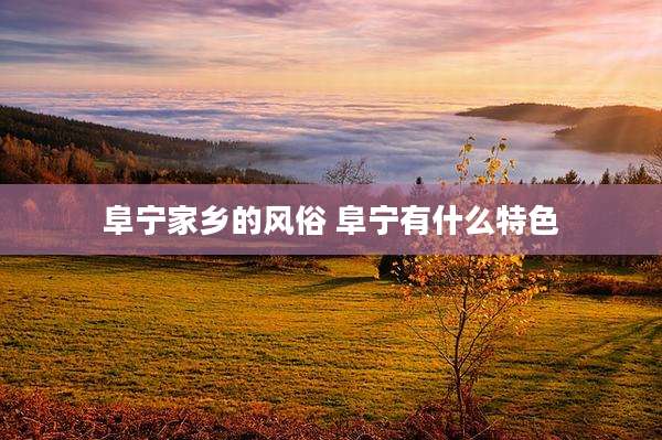 阜宁家乡的风俗 阜宁有什么特色