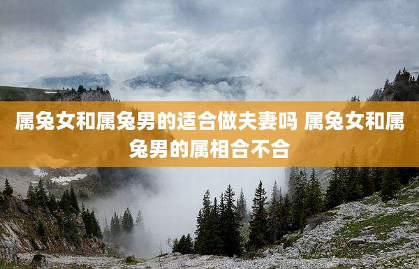 属兔女和属兔男的适合做夫妻吗 属兔女和属兔男的属相合不合