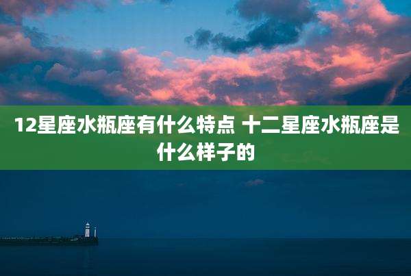 12星座水瓶座有什么特点 十二星座水瓶座是什么样子的