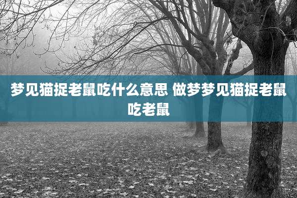 梦见猫捉老鼠吃什么意思 做梦梦见猫捉老鼠吃老鼠