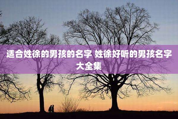 适合姓徐的男孩的名字 姓徐好听的男孩名字大全集