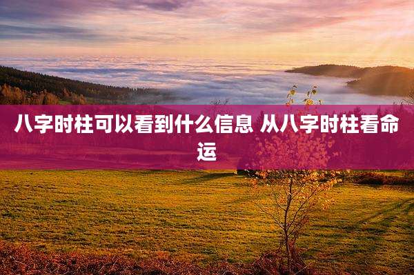 八字时柱可以看到什么信息 从八字时柱看命运
