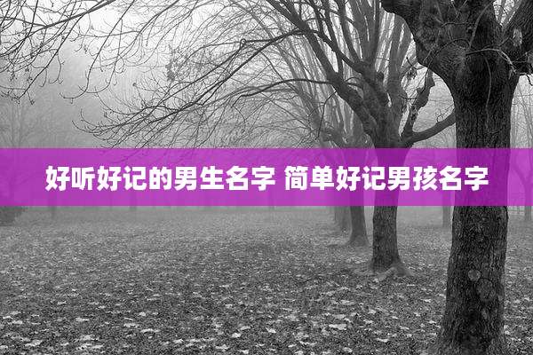 好听好记的男生名字 简单好记男孩名字