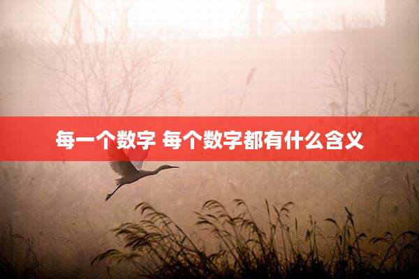 每一个数字 每个数字都有什么含义
