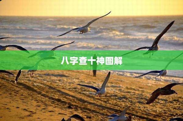 八字查十神图解