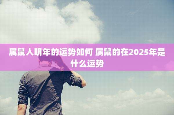 属鼠人明年的运势如何 属鼠的在2025年是什么运势
