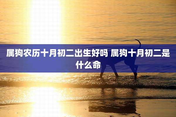 属狗农历十月初二出生好吗 属狗十月初二是什么命
