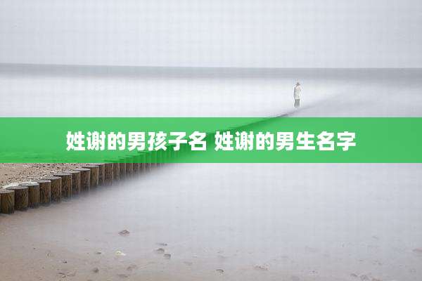 姓谢的男孩子名 姓谢的男生名字