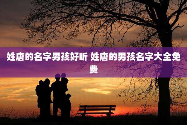 姓唐的名字男孩好听 姓唐的男孩名字大全免费