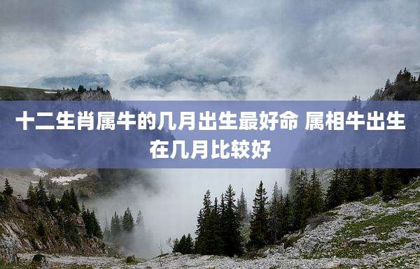 十二生肖属牛的几月出生最好命 属相牛出生在几月比较好