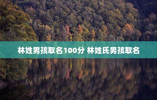 林姓男孩取名100分 林姓氏男孩取名