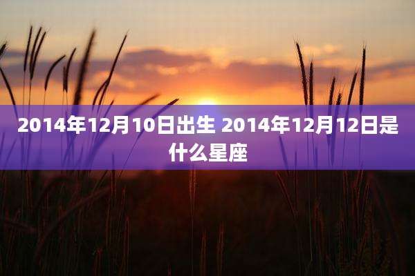 2014年12月10日出生 2014年12月12日是什么星座