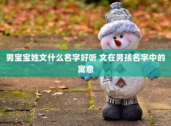 男宝宝姓文什么名字好听 文在男孩名字中的寓意