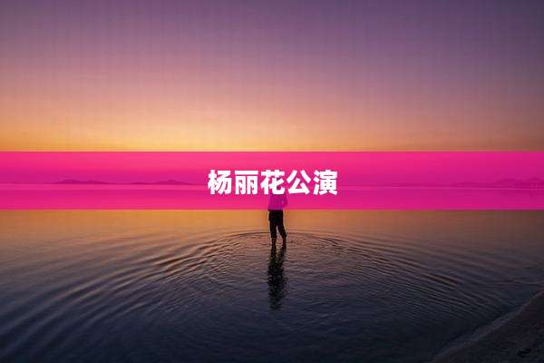 杨丽花公演