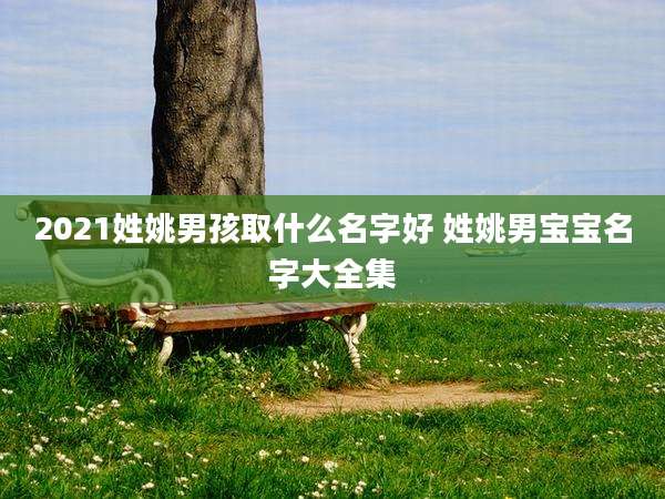 2021姓姚男孩取什么名字好 姓姚男宝宝名字大全集