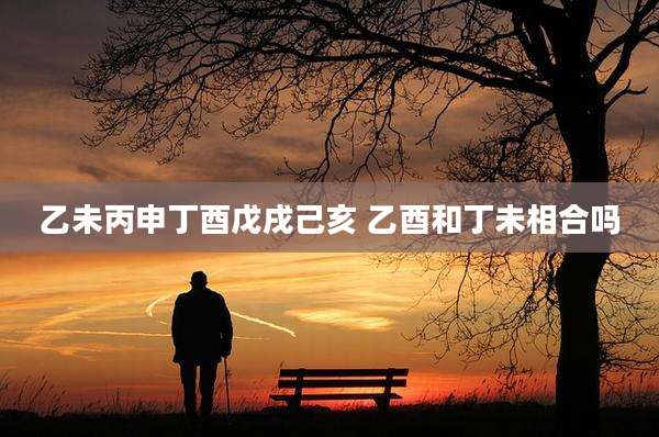 乙未丙申丁酉戊戌己亥 乙酉和丁未相合吗