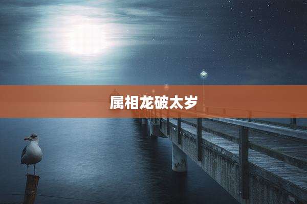 属相龙破太岁