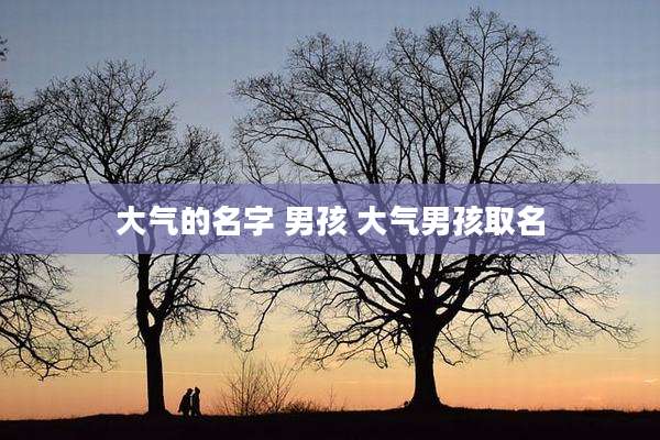 大气的名字 男孩 大气男孩取名