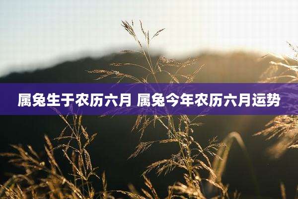 属兔生于农历六月 属兔今年农历六月运势