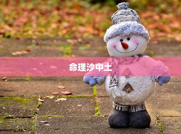 命理沙中土