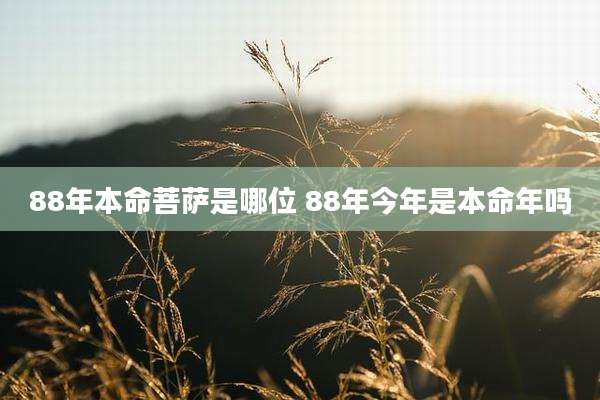 88年本命菩萨是哪位 88年今年是本命年吗