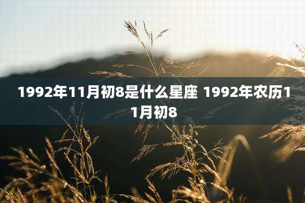 1992年11月初8是什么星座 1992年农历11月初8