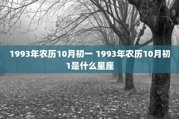 1993年农历10月初一 1993年农历10月初1是什么星座
