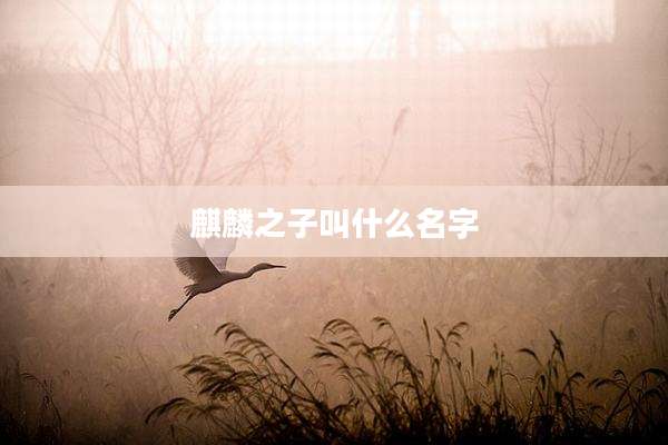 麒麟之子叫什么名字