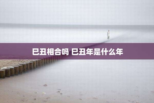 巳丑相合吗 巳丑年是什么年