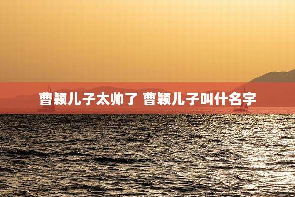 曹颖儿子太帅了 曹颖儿子叫什名字