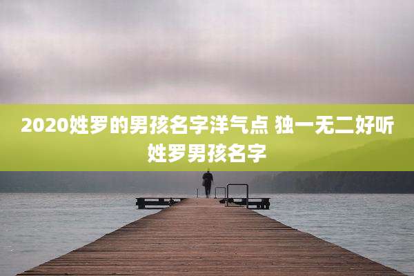 2020姓罗的男孩名字洋气点 独一无二好听姓罗男孩名字