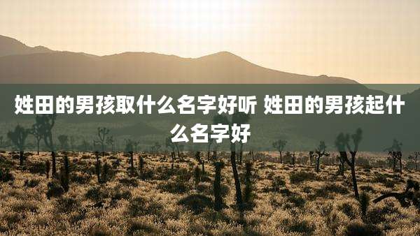 姓田的男孩取什么名字好听 姓田的男孩起什么名字好