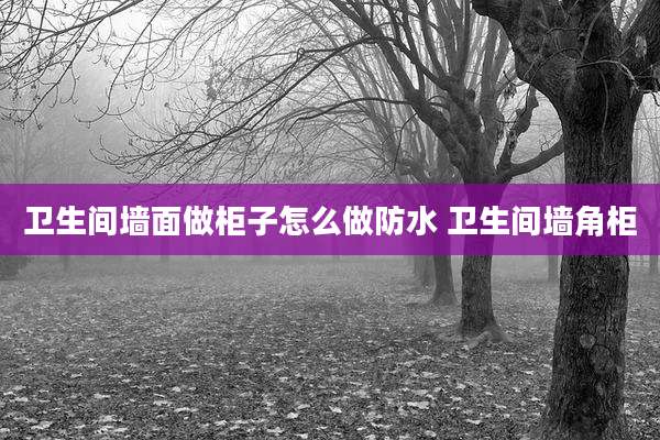 卫生间墙面做柜子怎么做防水 卫生间墙角柜