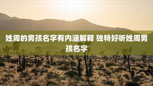 姓周的男孩名字有内涵解释 独特好听姓周男孩名字