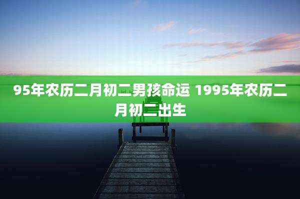 95年农历二月初二男孩命运 1995年农历二月初二出生