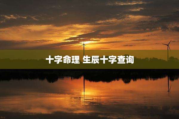 十字命理 生辰十字查询