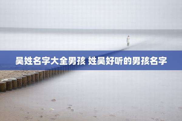 吴姓名字大全男孩 姓吴好听的男孩名字